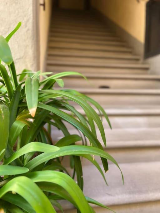 Il Canto De' Cenci Apartment Arezzo Exterior foto