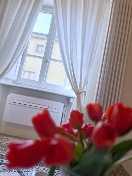 Il Canto De' Cenci Apartment Arezzo Exterior foto